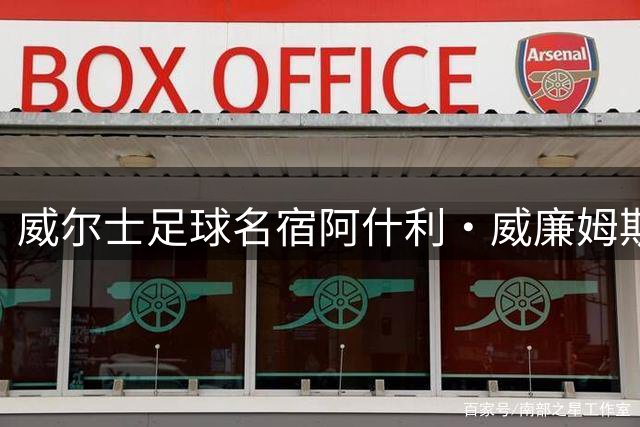 威尔士足球名宿阿什利·威廉姆斯出任国家队助教
